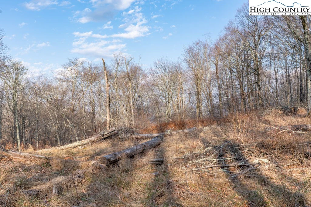 Image number 18 for the current listing
