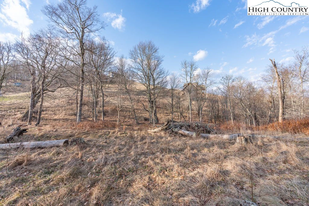 Image number 16 for the current listing