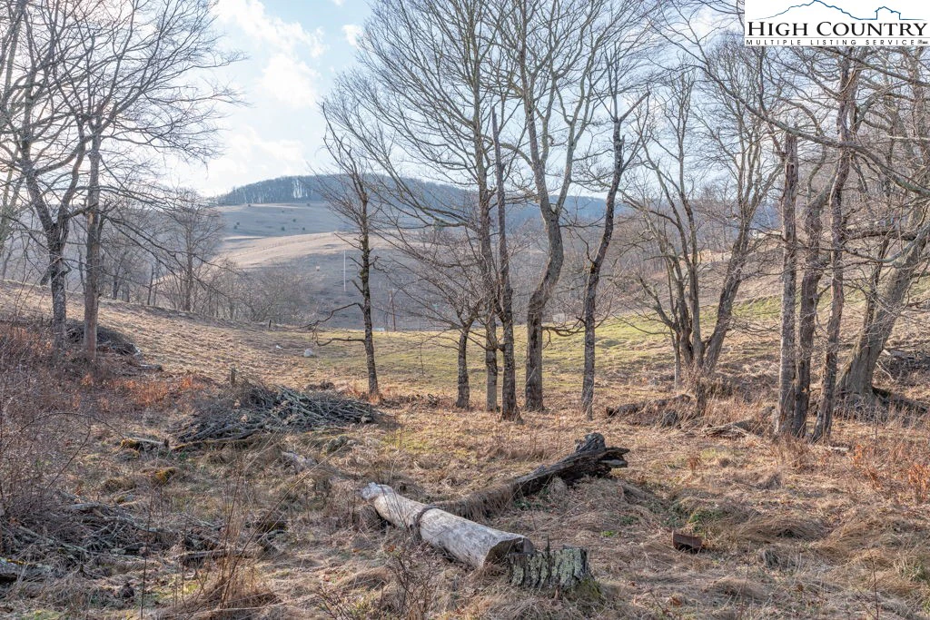 Image number 1 for the current listing