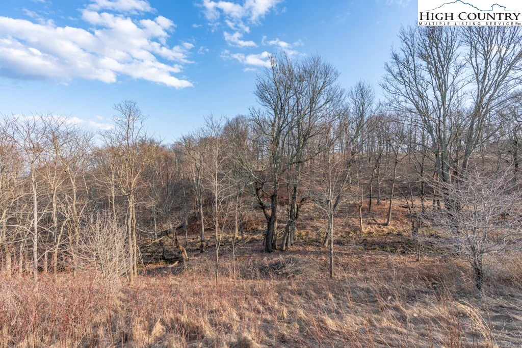 Image number 15 for the current listing