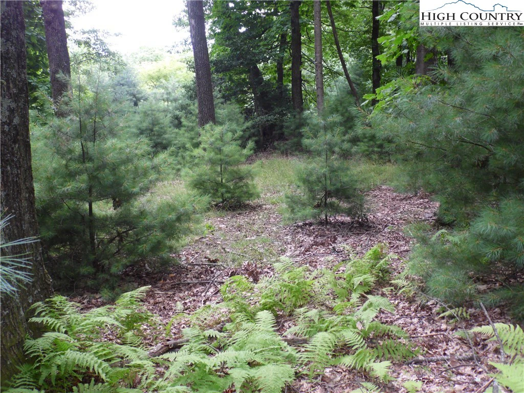 Image number 3 for the current listing