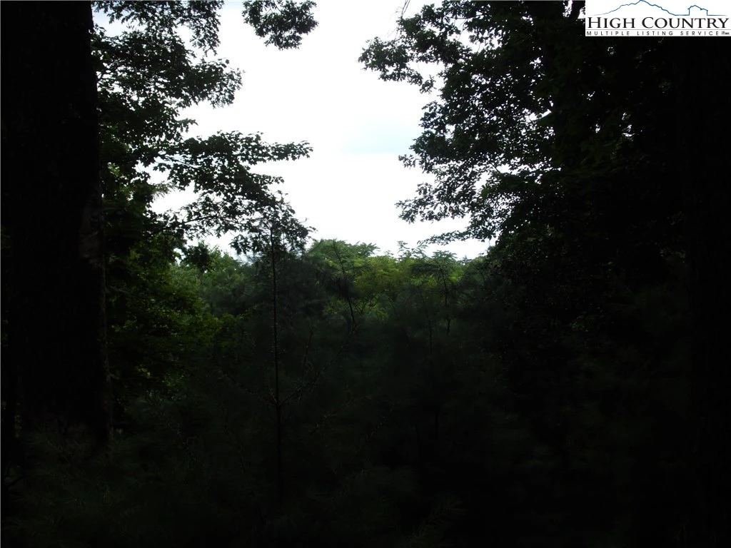 Image number 7 for the current listing