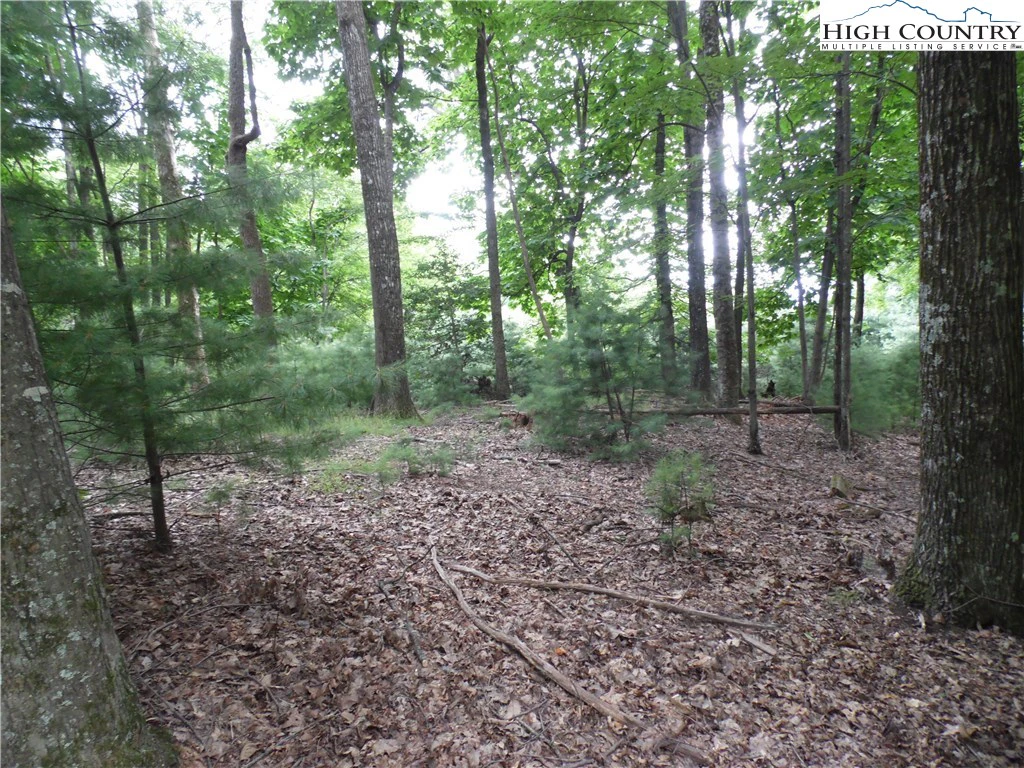 Image number 8 for the current listing