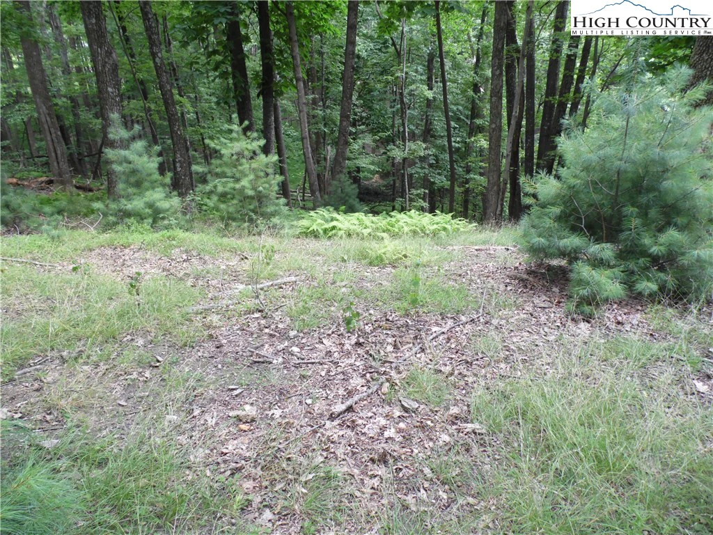 Image number 11 for the current listing