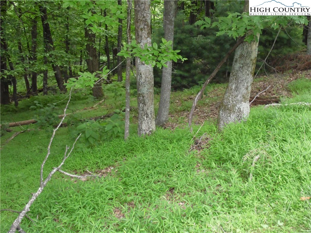 Image number 13 for the current listing