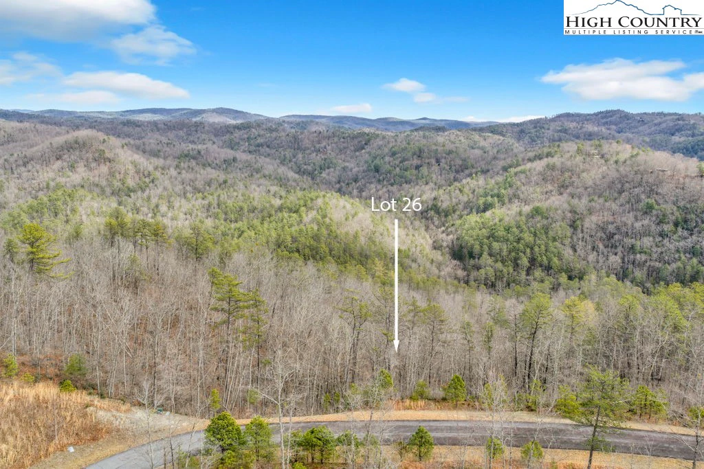 Image number 1 for the current listing