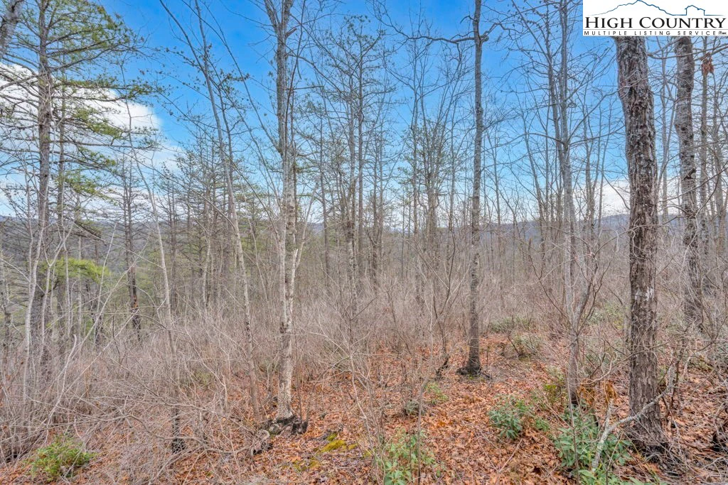 Image number 2 for the current listing
