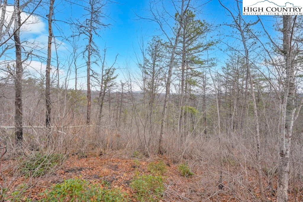 Image number 14 for the current listing
