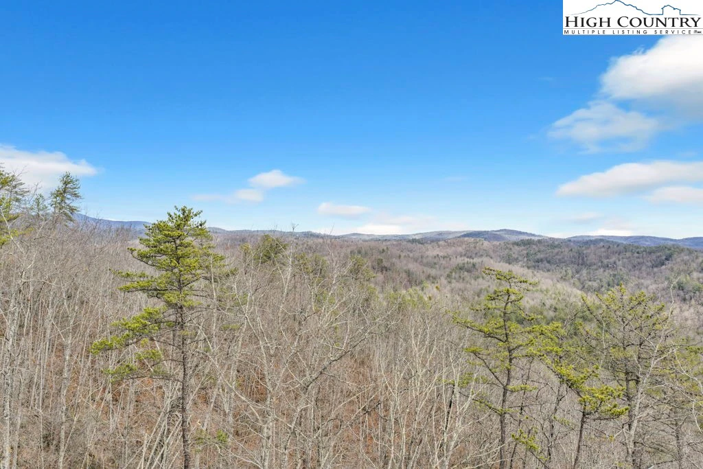 Image number 13 for the current listing