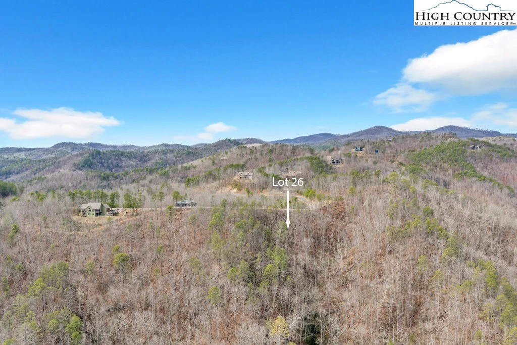 Image number 12 for the current listing
