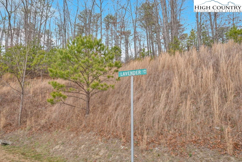 Image number 11 for the current listing