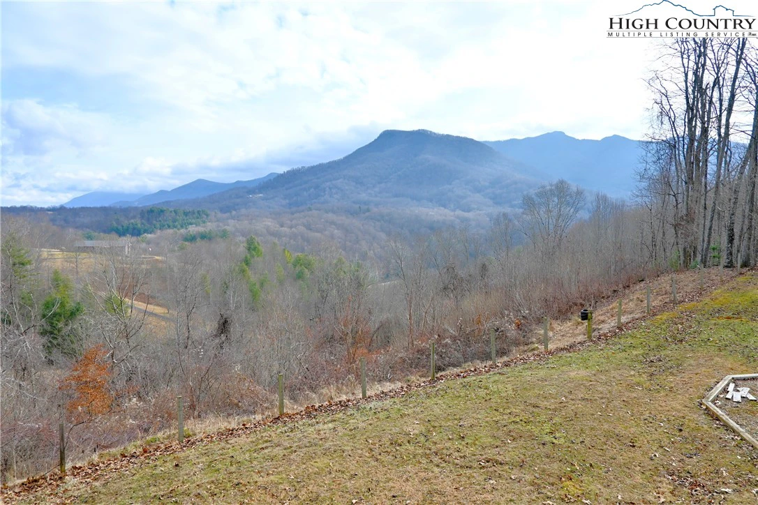 Image number 1 for the current listing