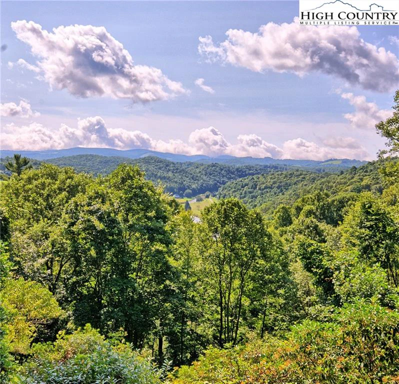 Image number 9 for the current listing