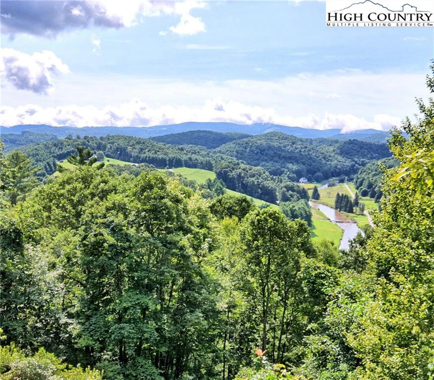 Image number 2 for the current listing
