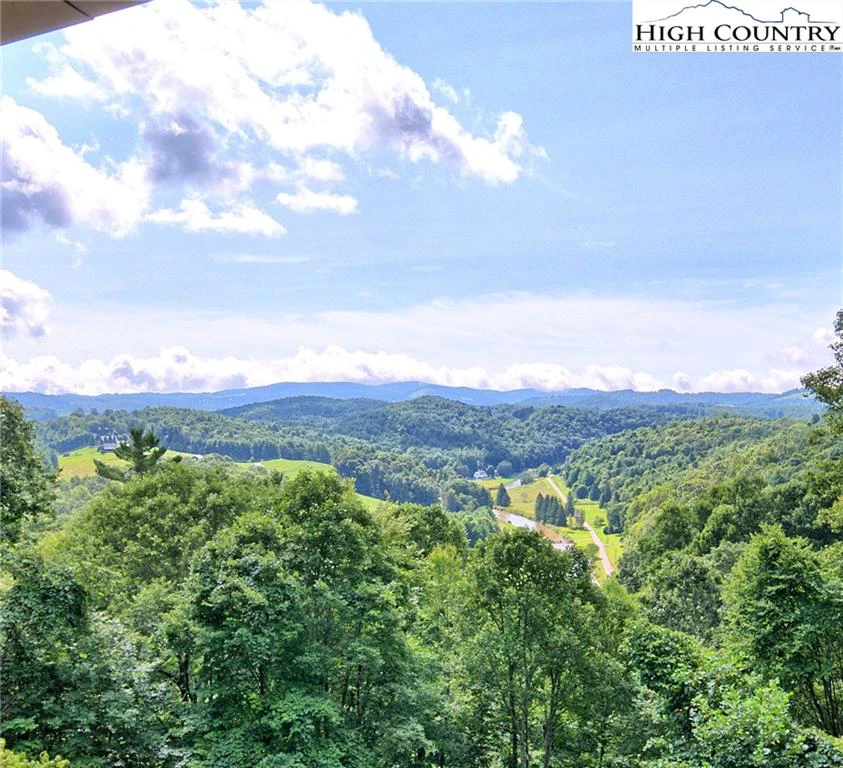 Image number 12 for the current listing