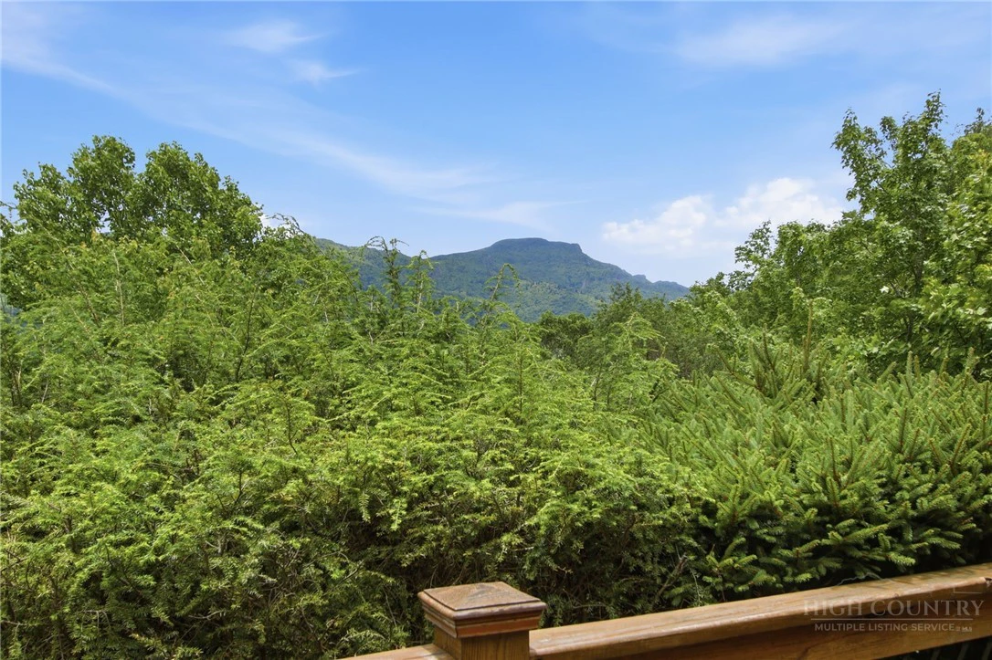 Image number 9 for the current listing