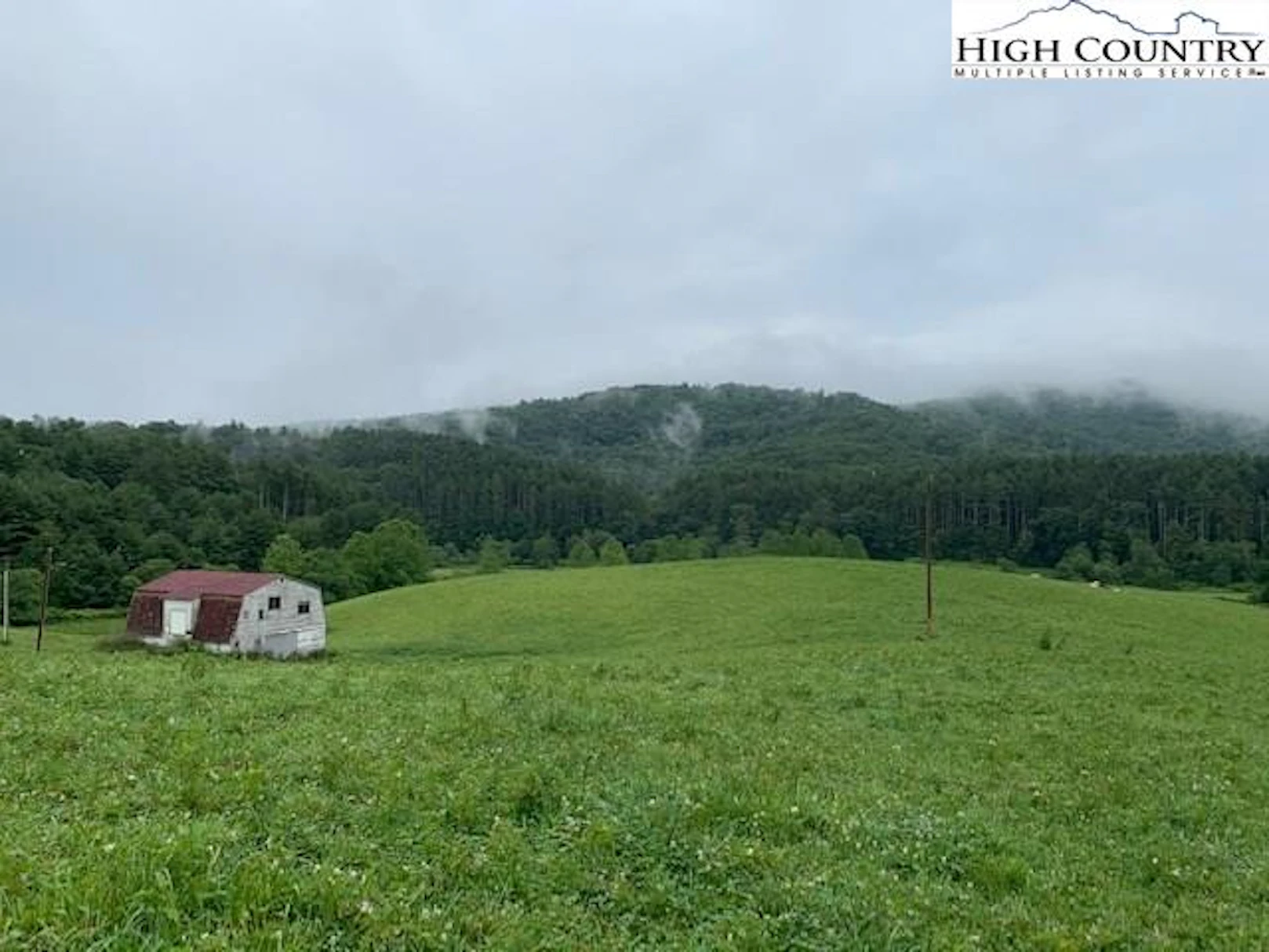 Image number 1 for the current listing
