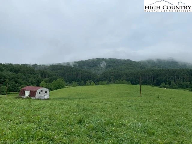 Image number 1 for the current listing