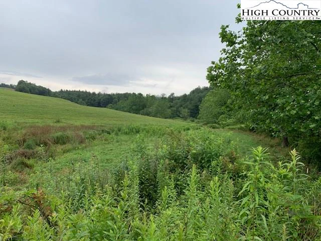 Image number 7 for the current listing