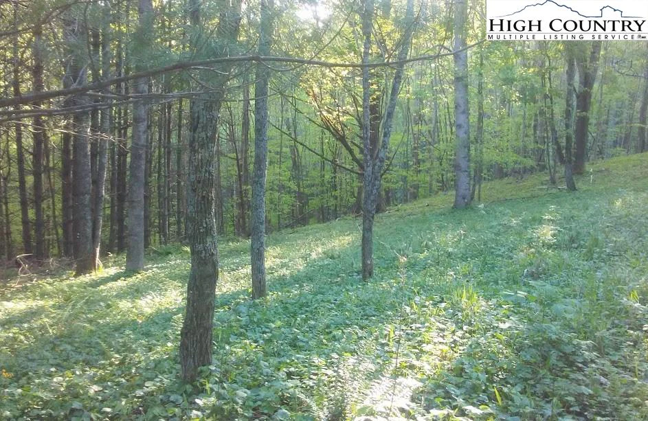 Image number 5 for the current listing