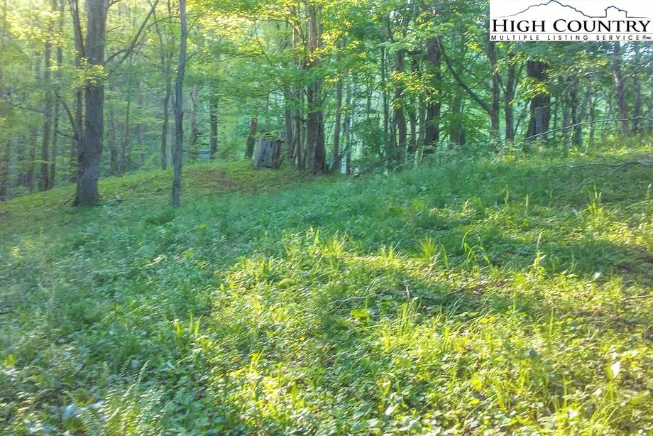 Image number 4 for the current listing