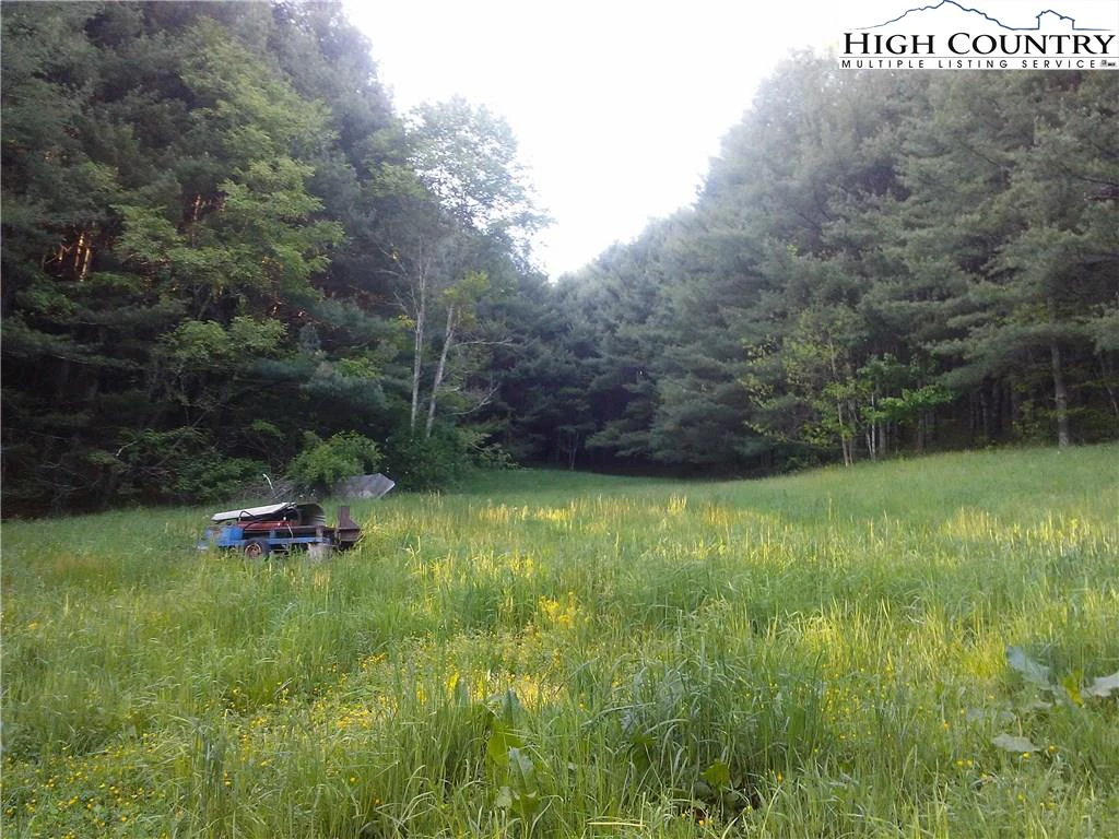 Image number 3 for the current listing