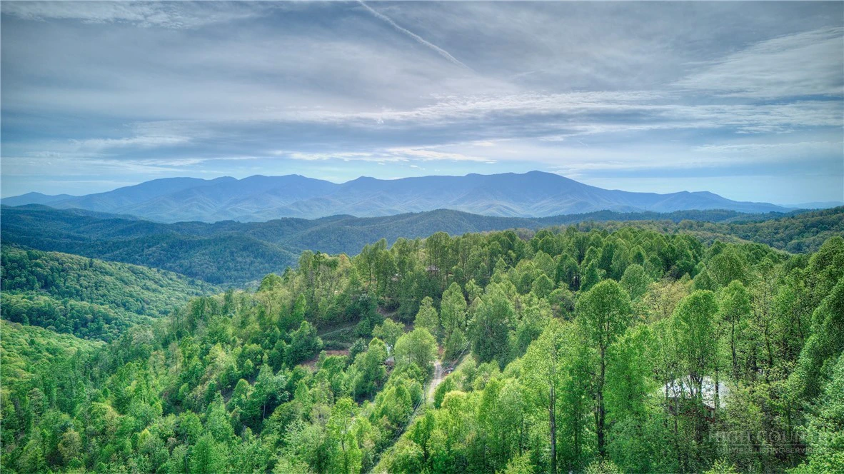 Image number 3 for the current listing