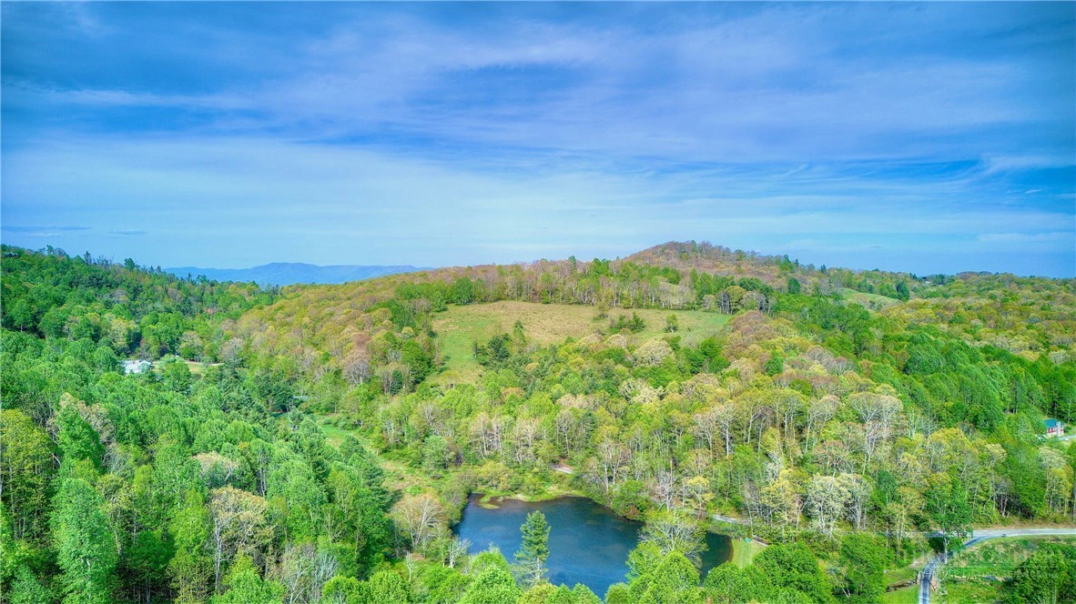 Image number 4 for the current listing