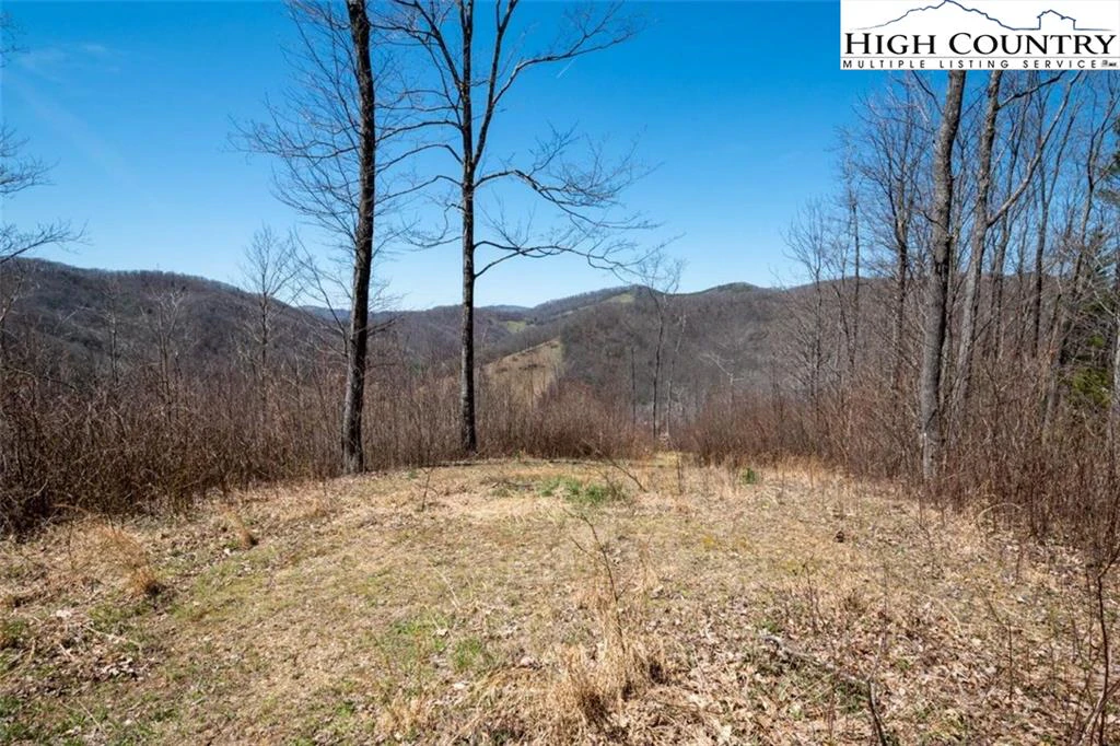 Image number 1 for the current listing