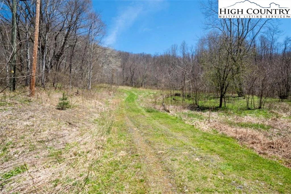 Image number 11 for the current listing