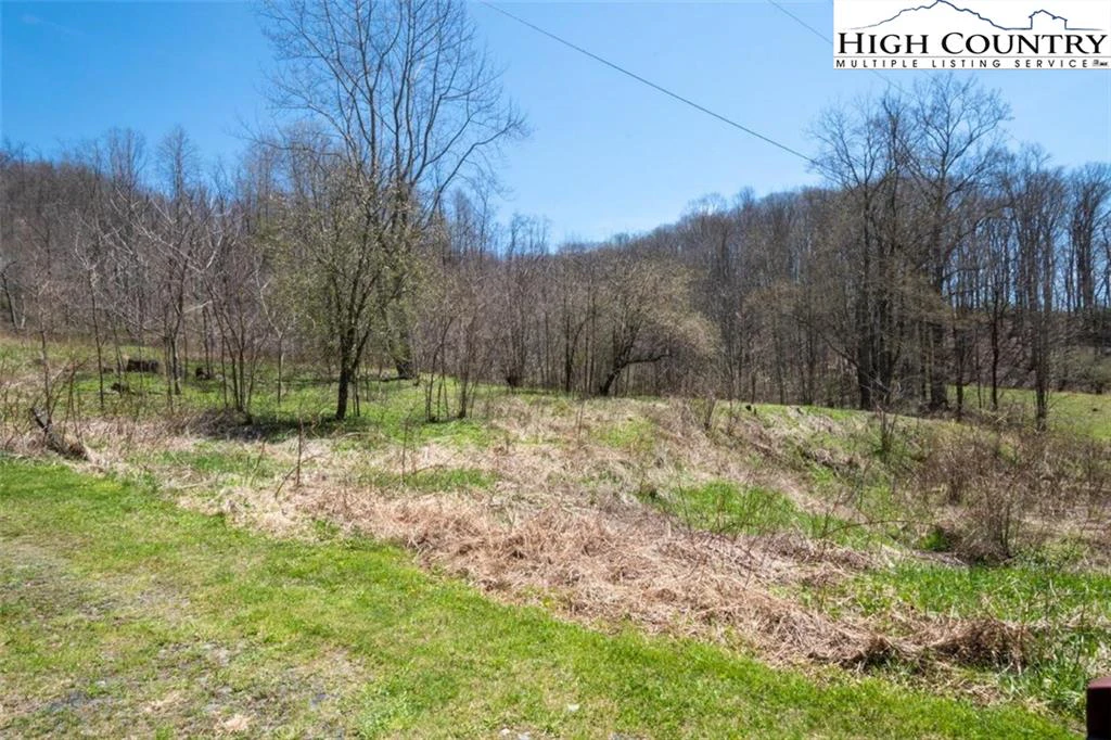 Image number 12 for the current listing