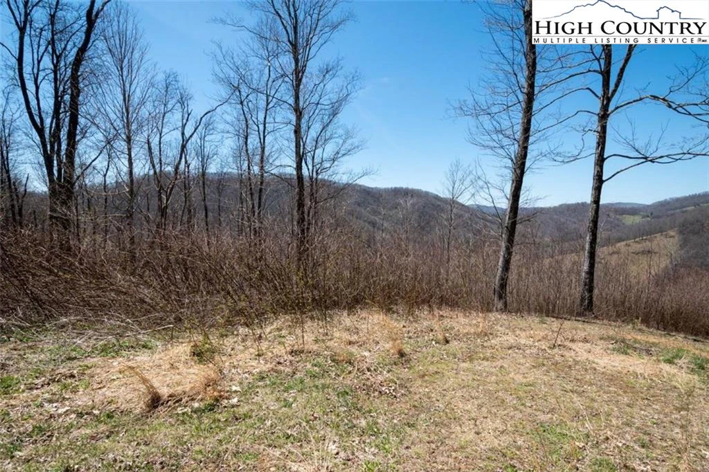 Image number 3 for the current listing
