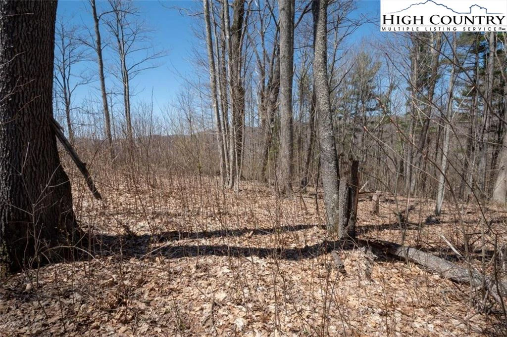 Image number 4 for the current listing