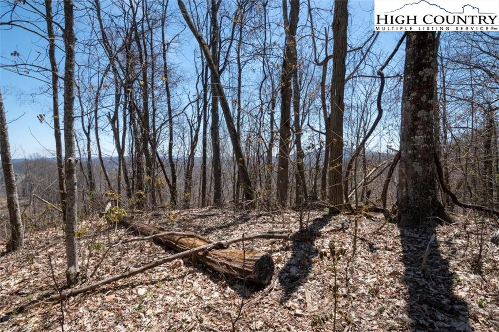 Image number 5 for the current listing