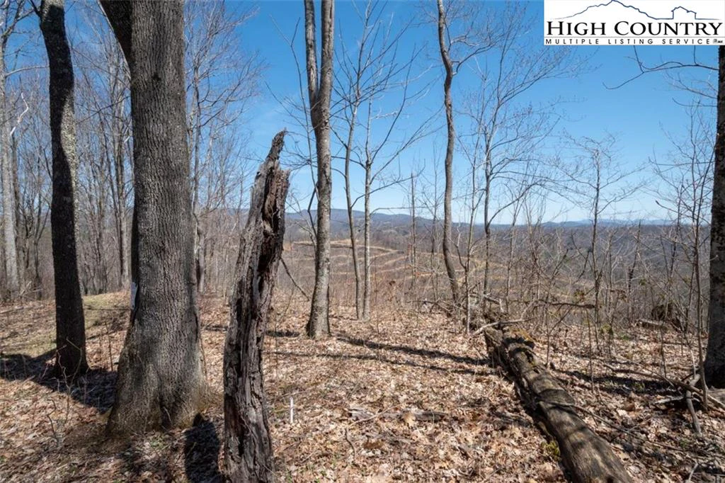 Image number 7 for the current listing