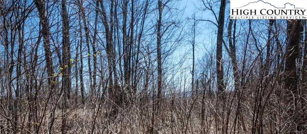 Image number 8 for the current listing