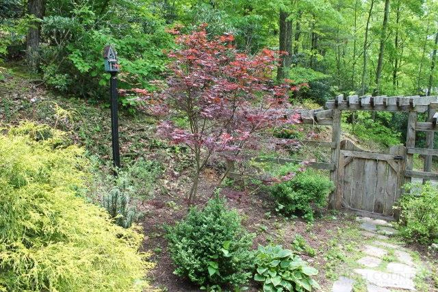 Image number 12 for the current listing