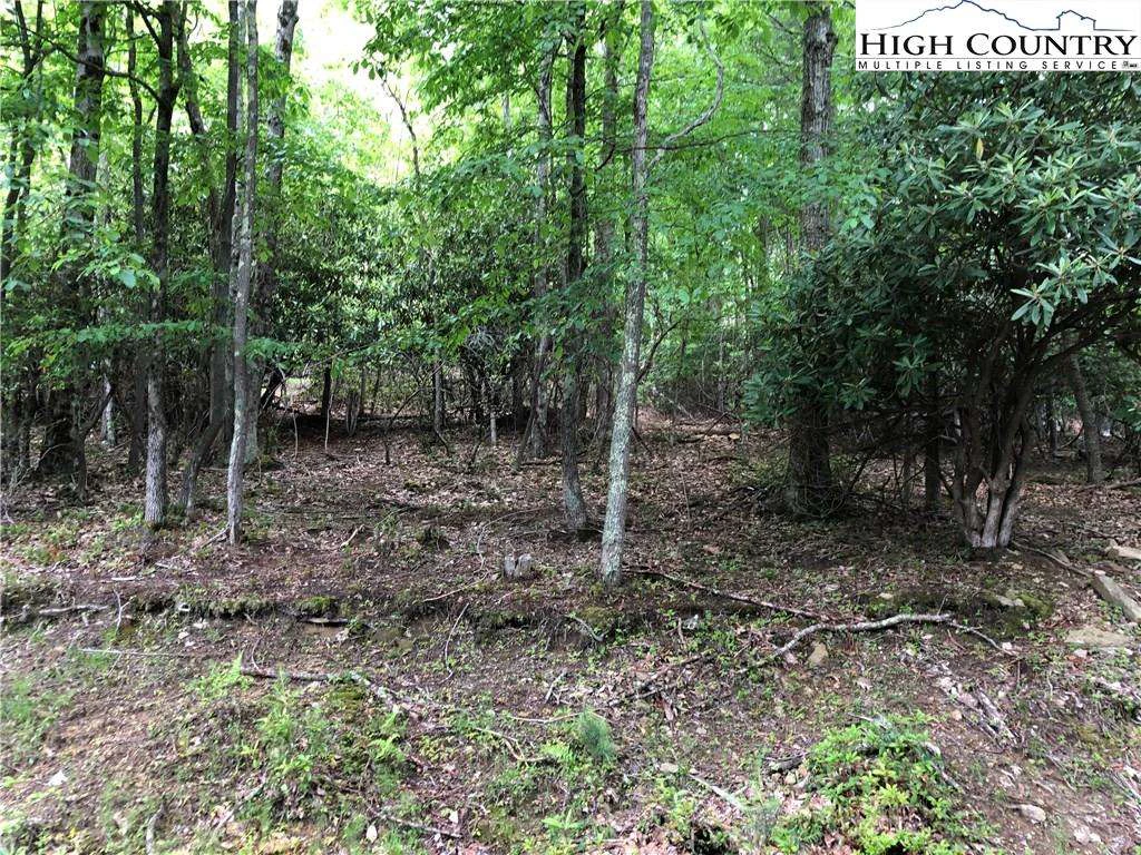 Image number 1 for the current listing