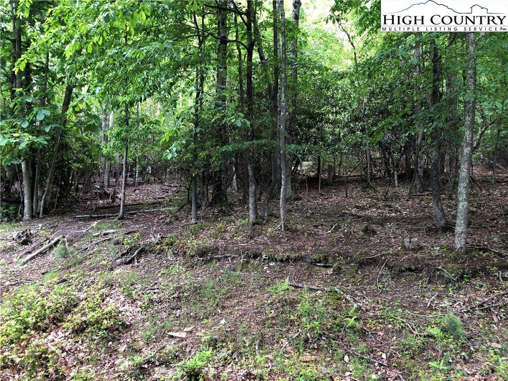 Image number 3 for the current listing