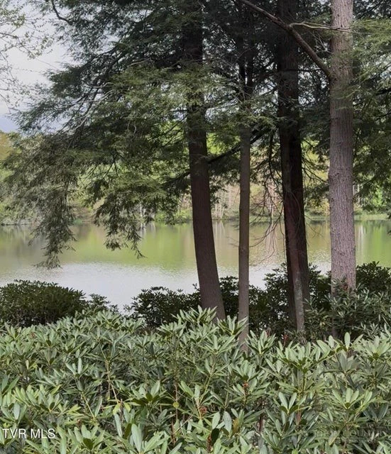 Image number 1 for the current listing