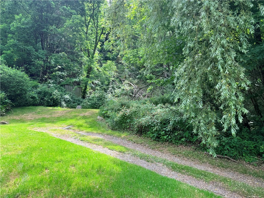 Image number 14 for the current listing