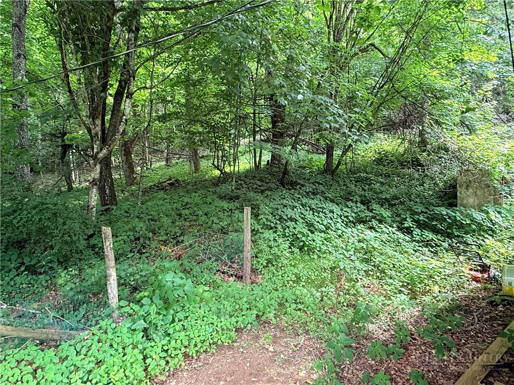 Image number 18 for the current listing