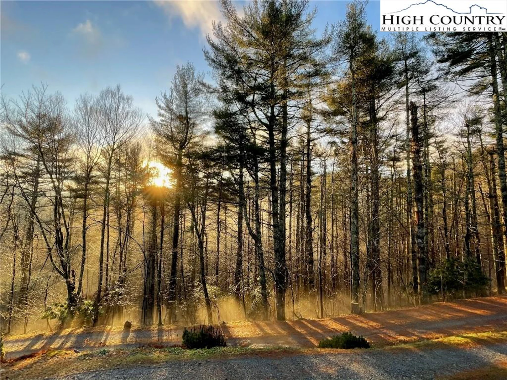 Image number 16 for the current listing