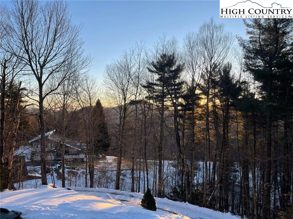 Image number 18 for the current listing