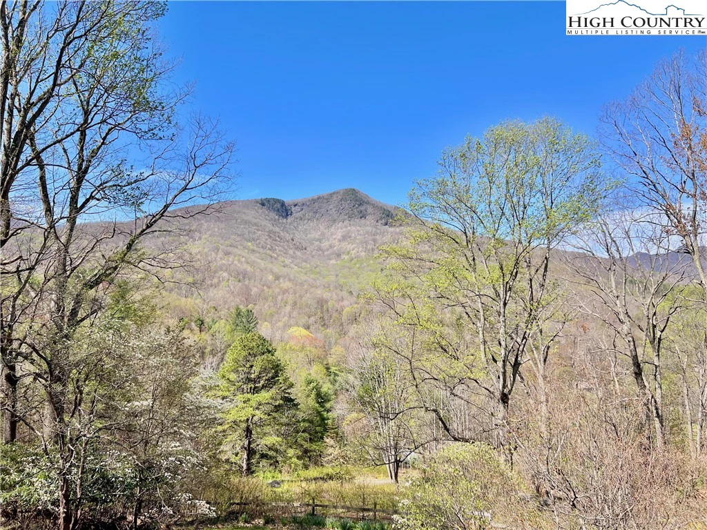 Image number 3 for the current listing