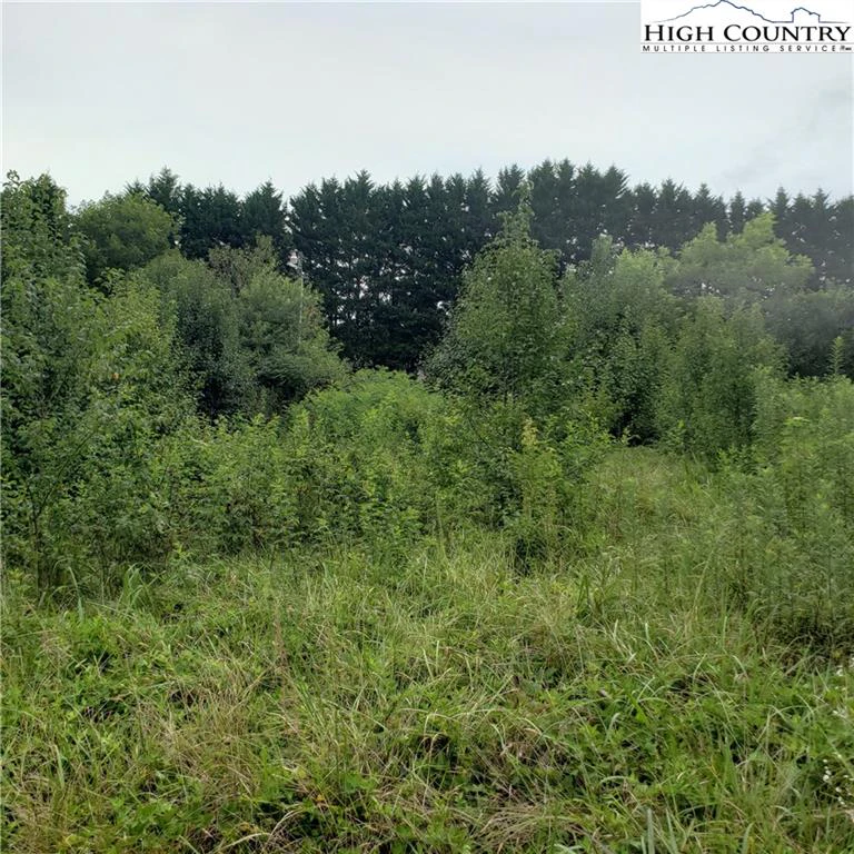 Image number 3 for the current listing