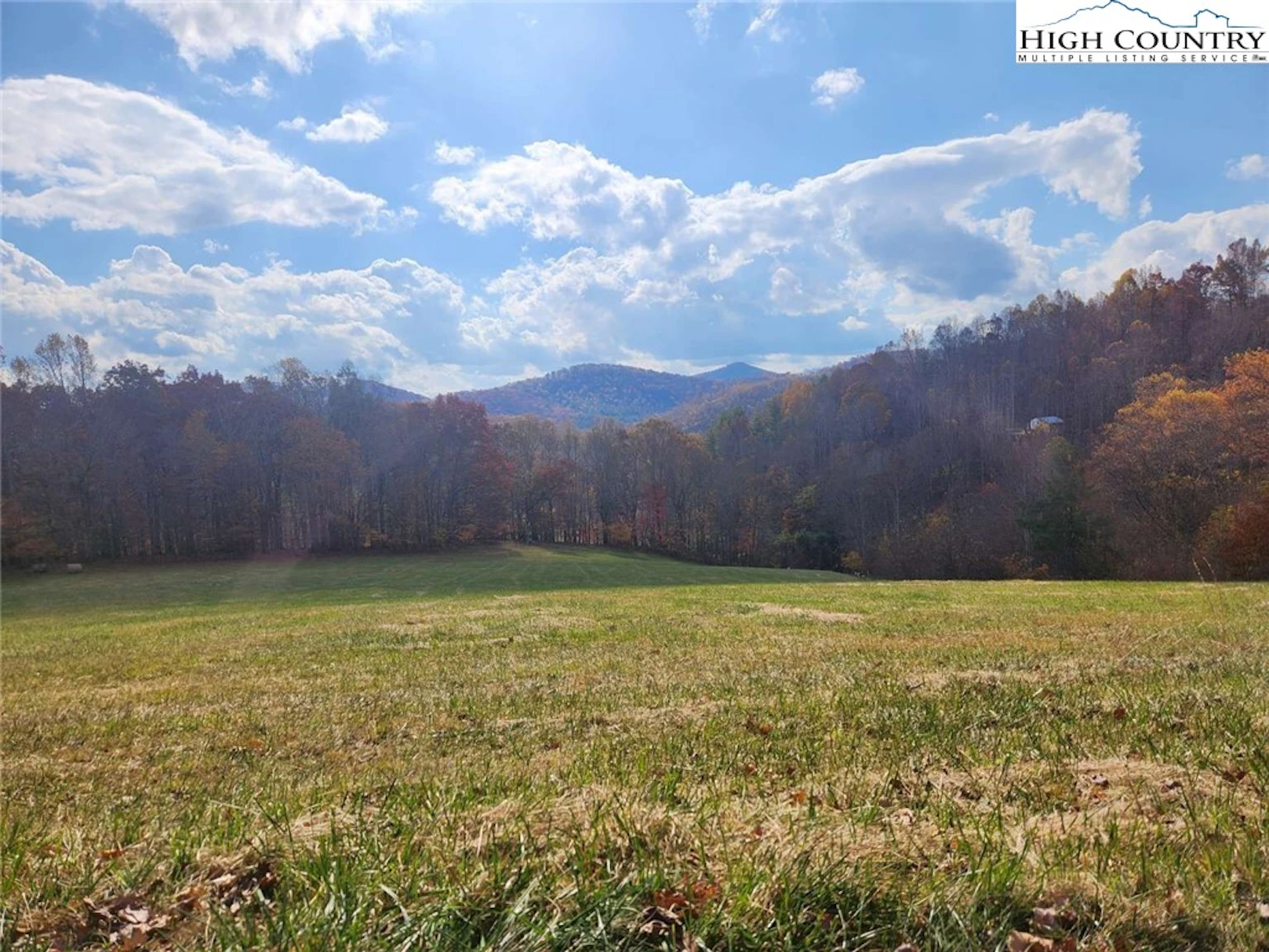 Image number 1 for the current listing