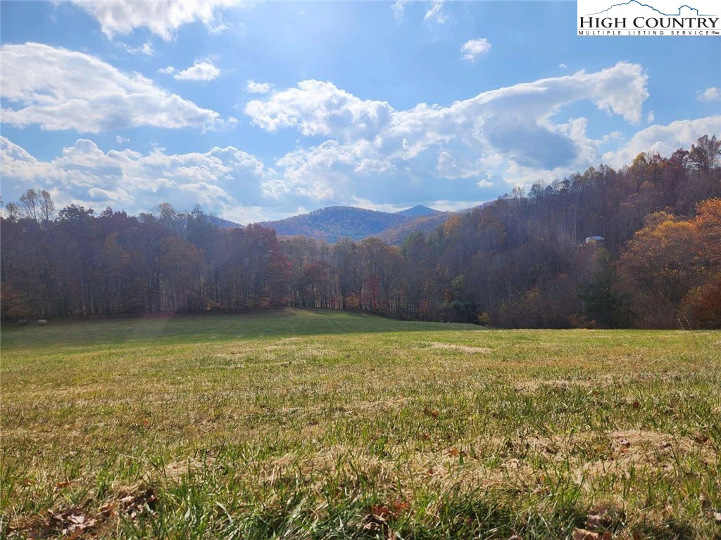 Image number 1 for the current listing