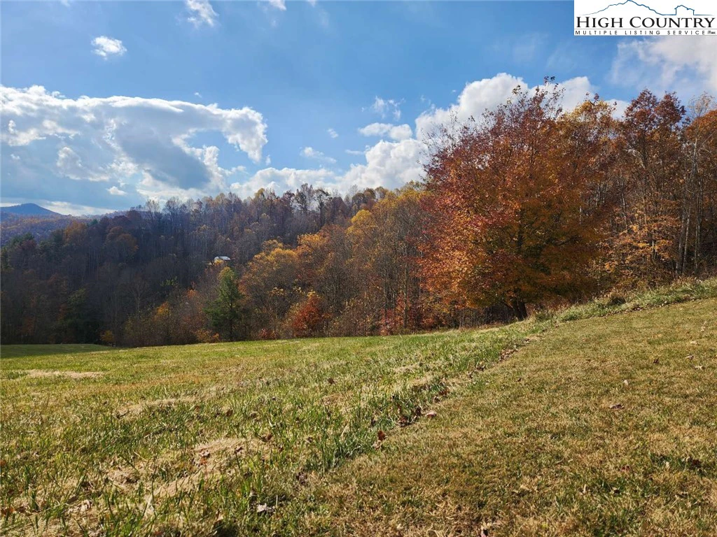Image number 3 for the current listing