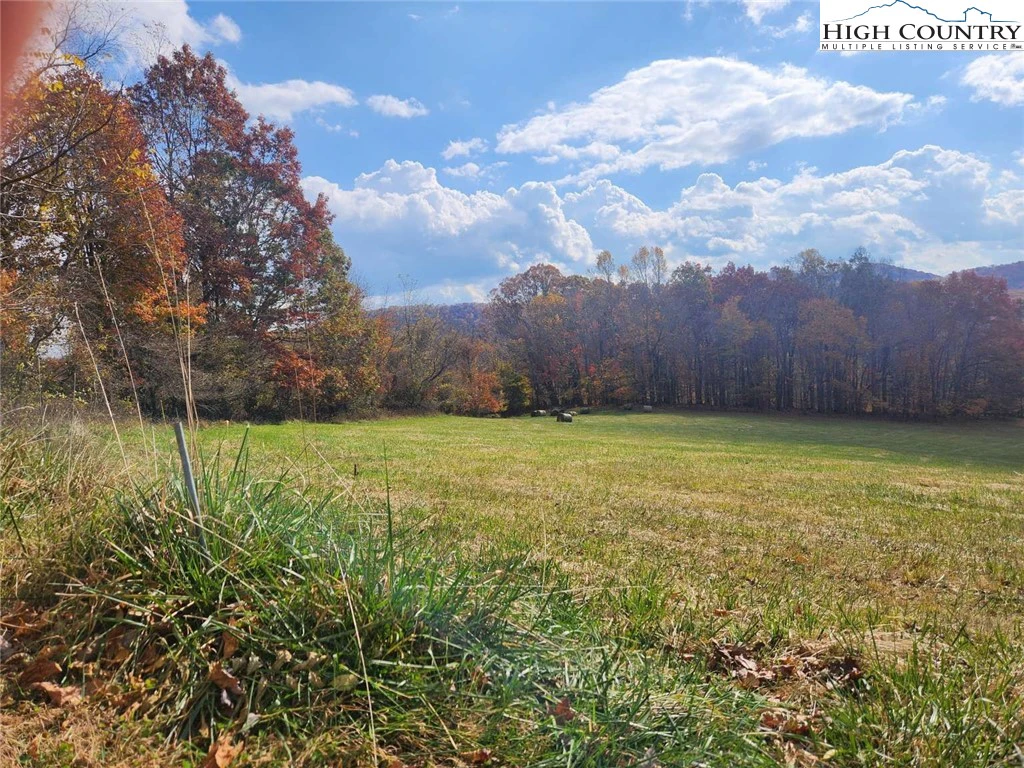 Image number 4 for the current listing